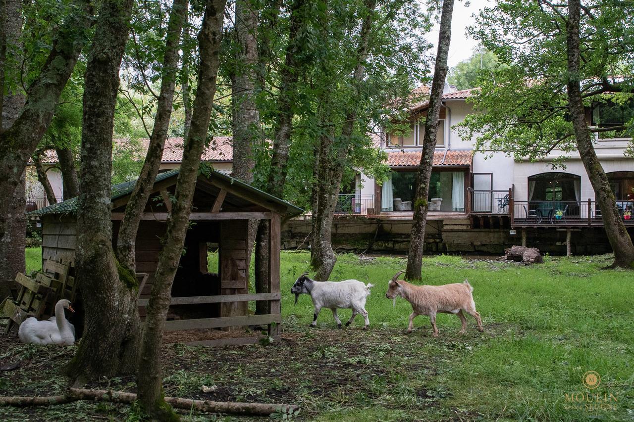 Hotel Moulin Du Val De Seugne Mosnac  Exterior foto
